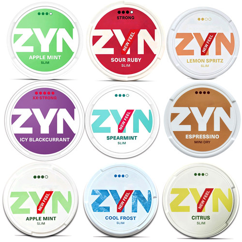 新款ZYN口含袋薄荷水果味旅行便带飞机高铁snus zyn口含袋