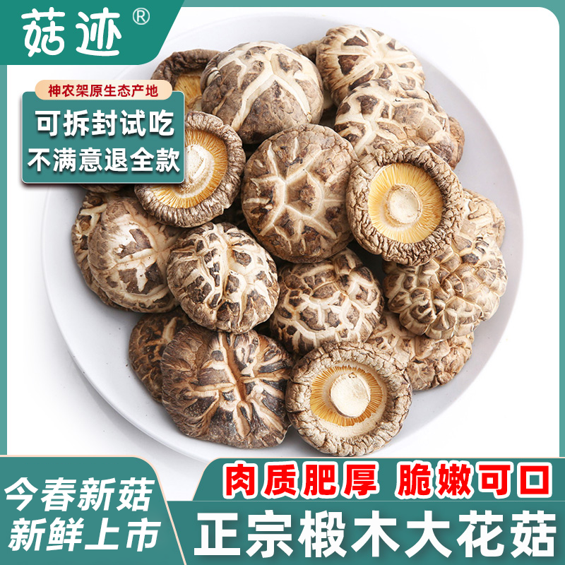 正宗房县小花菇大蘑菇助农特产神农架非野生椴木迷你香菇干货冬菇
