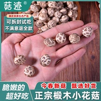 舌尖上的中國推薦食材房縣小花菇