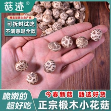 房县小花菇菌菇助农特产神农架非野生椴木迷你蘑菇冬菇干货香菇