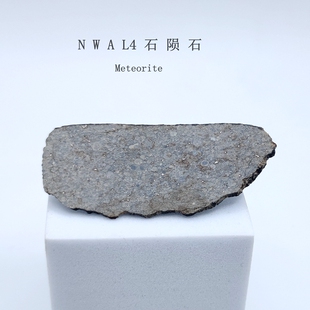 天然NWA西北非石陨石切片标本L4型标本球粒陨石科普收藏礼物教学