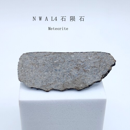天然陨石NWAL4石陨石切片