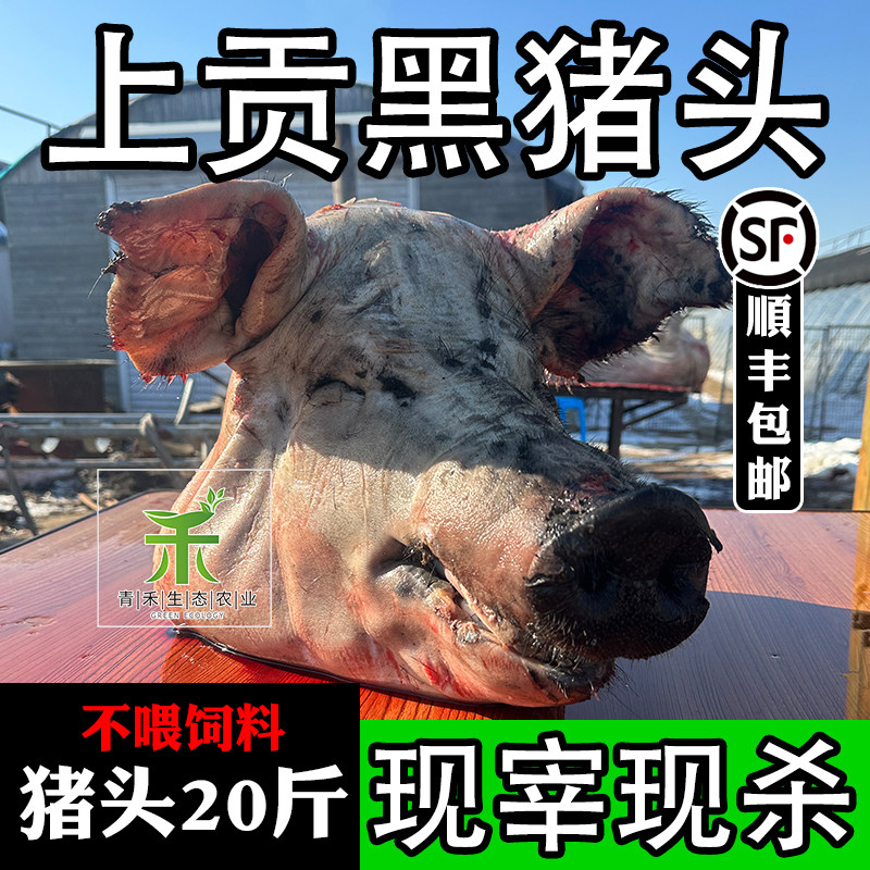 猪头生新鲜东北正宗散养黑猪土猪整头肉皮带耳朵去骨冷冻上贡公猪