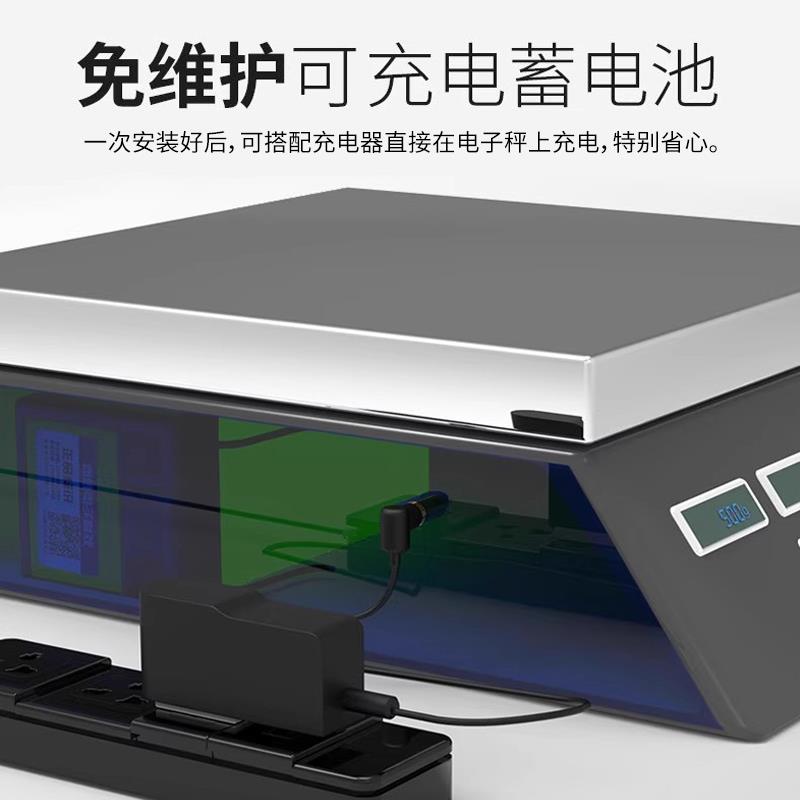 电子秤电池4v6ah20hr称重