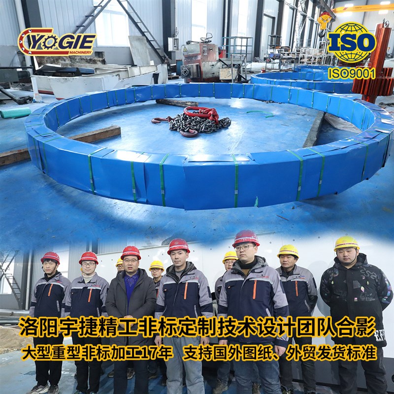 洛阳非标制造各j种齿条 大模数齿条 弧形分段齿条  齿条导轨