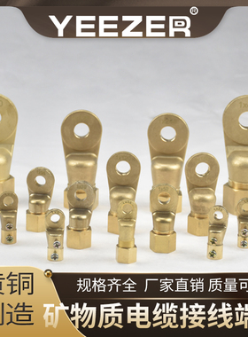 BTTZ矿物质电缆线鼻子绝缘接线端子1*6 1*16 1*25 1*240铜鼻子