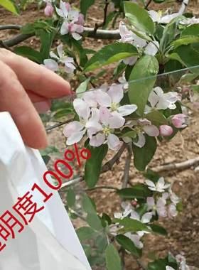 透明pc塑料玻璃板隔断耐力板阳光板雨棚板5mmPC聚碳酸酯板pet硬板