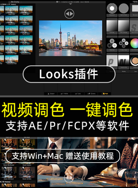 Looks4.0调色插件电影大片风格支持AE/PR/FCPX素材预设滤镜