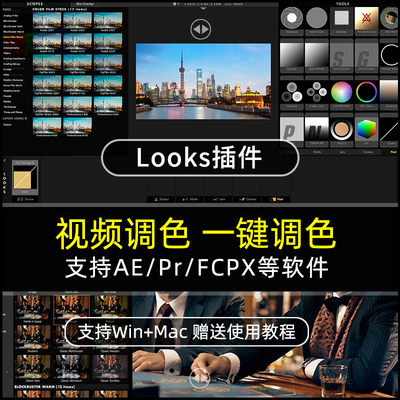 Looks4.0调色插件电影大片风格支持AE/PR/FCPX素材预设滤镜