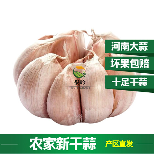 大蒜头新干蒜头紫白皮新鲜