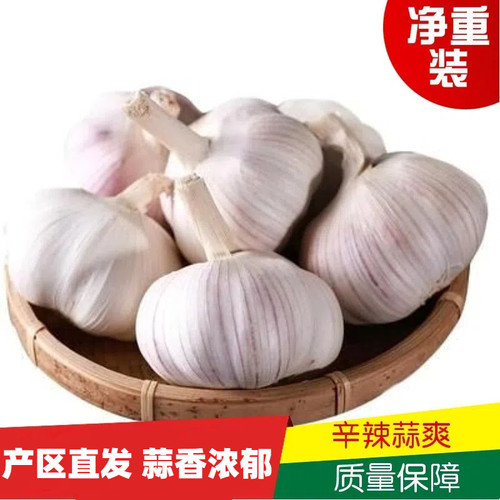 批发包邮杞县产地直发农家干蒜