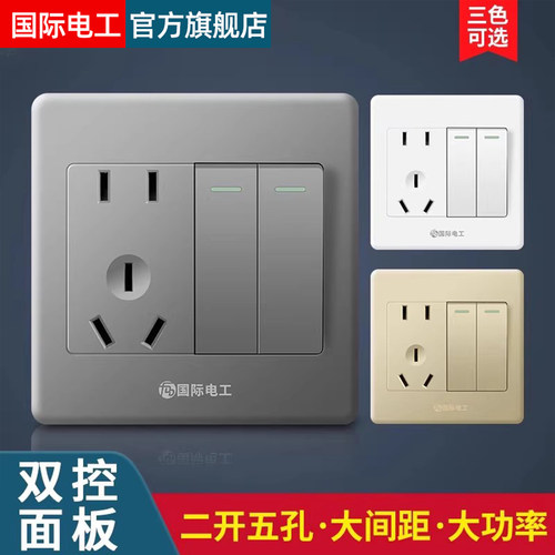 国际电工二开五孔插座10A暗装