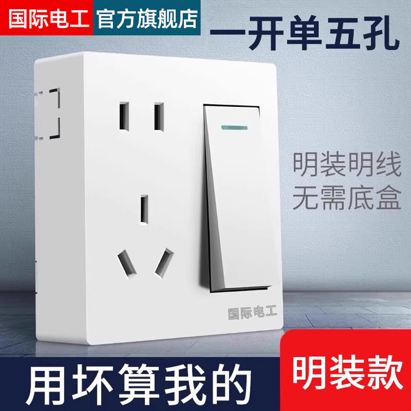 国际电工雅白单控5孔开关带插座图片