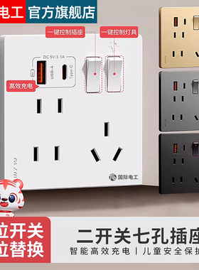 FDD国际电工两开七孔开关插座二三插86Type-C20W快充床头USB充电