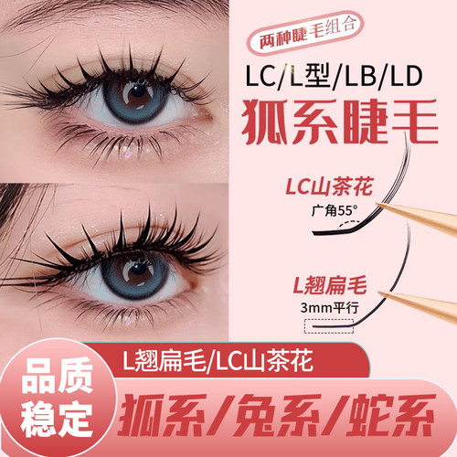 恋夫人LC型狐系睫毛嫁接山茶花