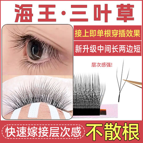 恋夫人超软毛不散根美睫店专用