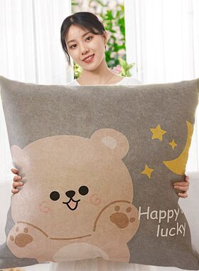 可爱卡通抱枕沙发客厅卧室女生大号正方形靠背靠垫枕套不含芯靠枕