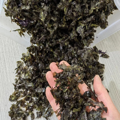 福建霞浦紫菜无沙免洗无油即食合适商用沙县小吃紫菜蛋花汤碎紫菜
