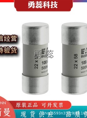 熔断器     C22G10     C22G12    C22G16