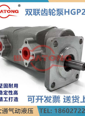 HGP-22A-F22R F66R F88R F44R 33/55/77/11R双联齿轮泵WHDATONG