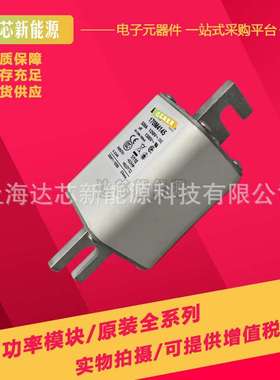 170M4181 170M4182 170M4183 170M4184 170M4185 170M4186熔断器