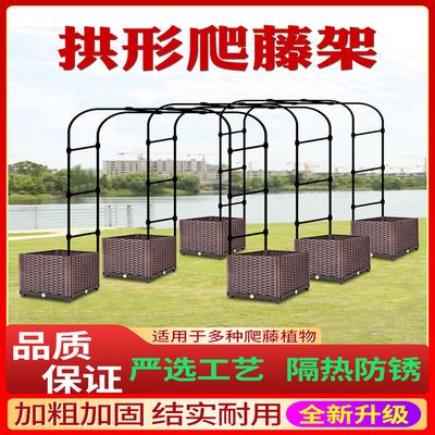 拱门爬藤架鲜花铁艺花架丝瓜黄瓜番茄园艺花架室外阳台花廊葡萄架