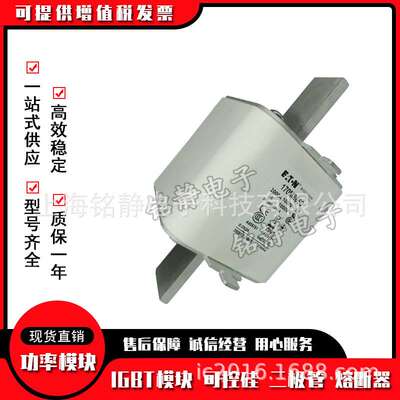 170M8618 170M8619 170M8620 170M8621巴斯曼熔断器现货170M8622