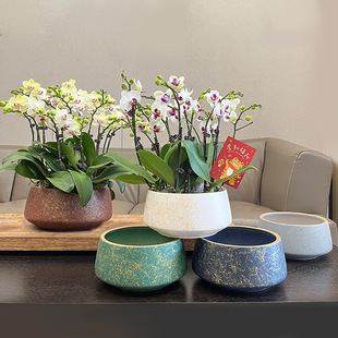 蝴蝶兰花盆高档陶瓷花盆大号组合拼盆套盆轻奢感兰花