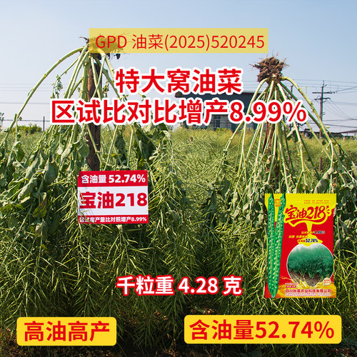 宝油218高油高产抗病油菜种子
