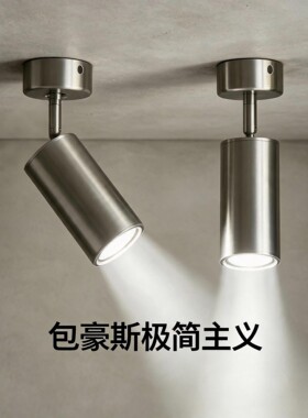包豪斯高端明装可调射灯
