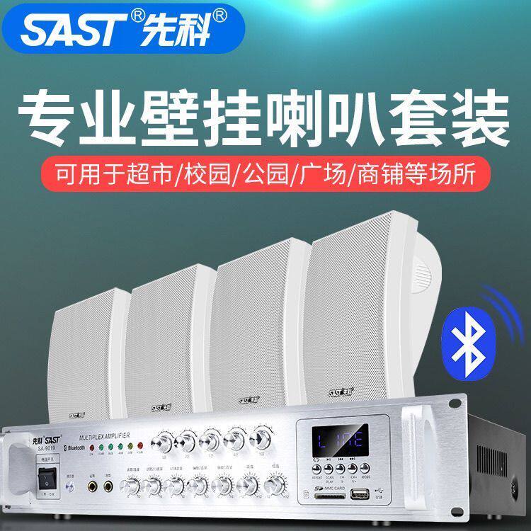 先科挂墙音响壁挂式有线店铺室内餐厅挂壁式音箱超市校园背景音乐