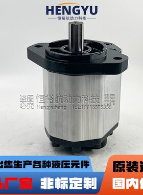 博顿高压油泵Boden齿轮泵BHP3A0D55H4Z7-R BHPA0D32C1L1 液压泵