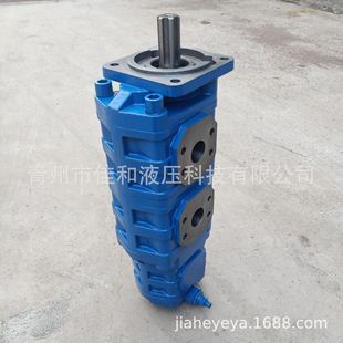 泰安新龙钻机配套齿轮泵 厂家供应钻机工作泵