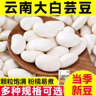 云南大白芸豆干货大云豆白扁豆子