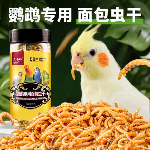 鹦鹉鸟粮饲料专用面面包虫干活鸟虎皮牡丹玄凤金小太阳和尚训练