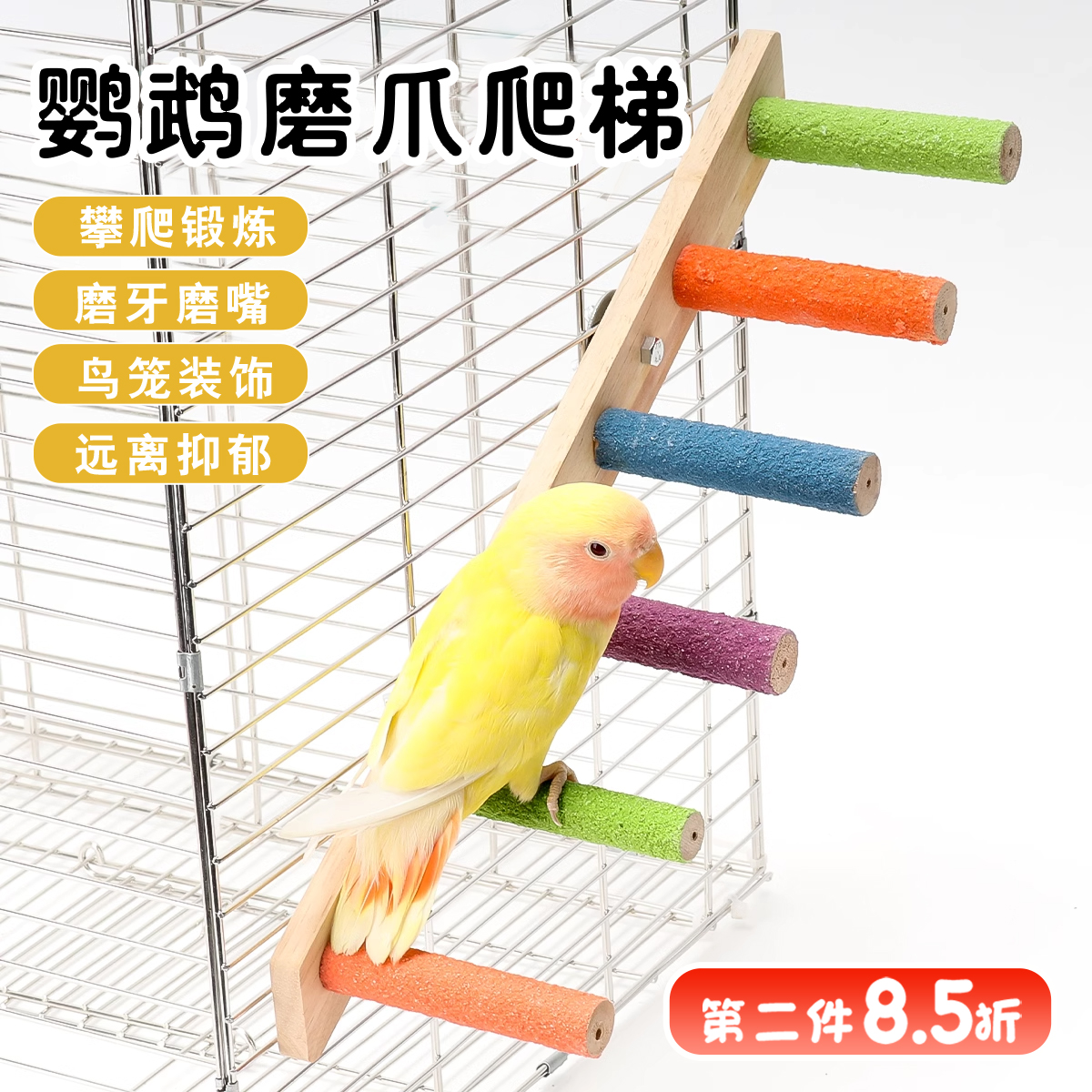 【天猫正品】鹦鹉玩具解闷自嗨爬梯牡丹玄凤和尚啃咬磨爪站杆鸟笼