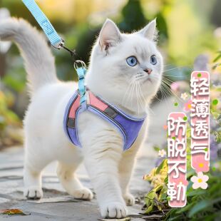 猫咪牵引绳溜猫绳猫背带背心式胸背防挣脱猫咪专用兔子狗狗外出用