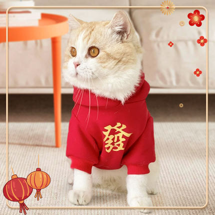 猫咪衣服宠物新年装拜年过年衣服秋装冬季防掉毛布偶狗狗加绒保暖