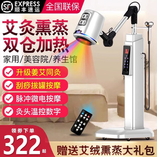 艾灸仪器美容用专艾灸仪家用理宫寒疗熏蒸仪艾灸仪器一体机