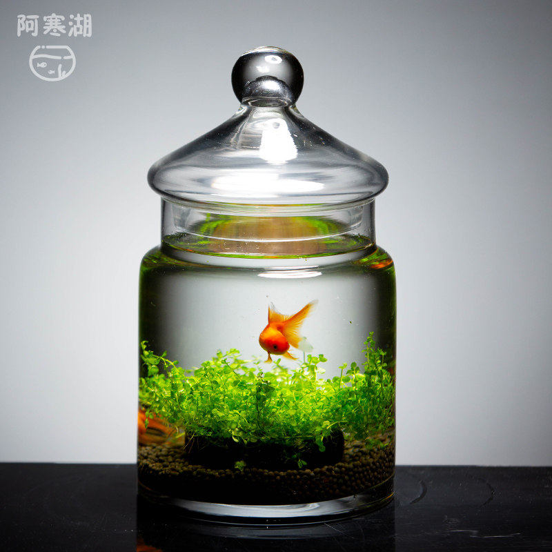 玻璃鱼缸小型客厅迷你斗鱼缸带盖子子金鱼缸懒人桌面微景观生态瓶