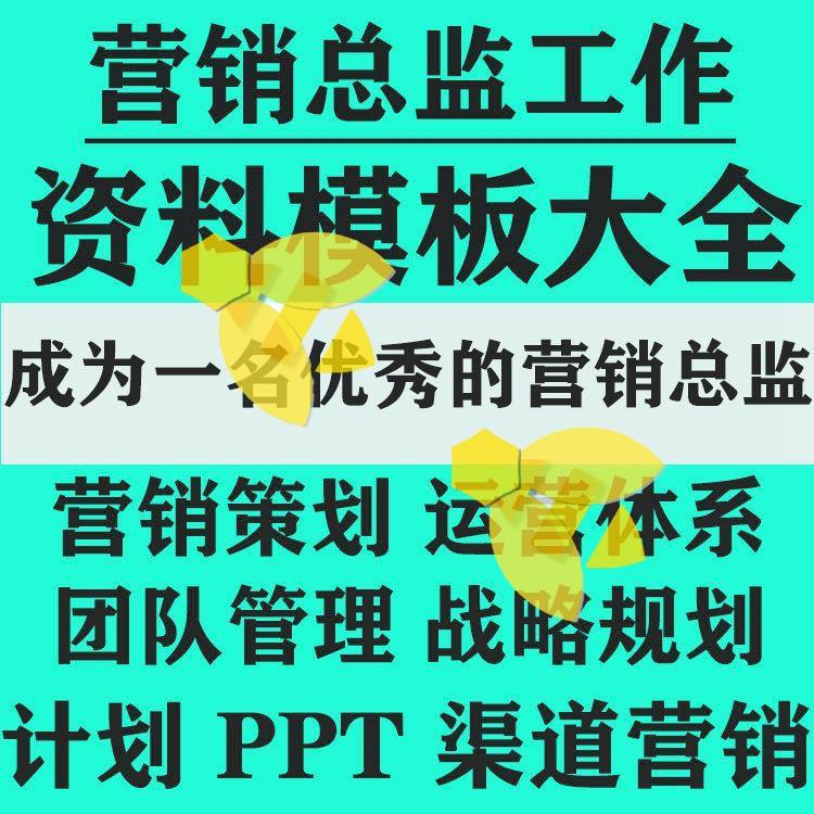 营销总监管理运营渠道业绩规划分析工作总结汇报PPT方案模板资料