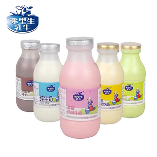 弗里生乳牛子母奶243ml瓶装纯牛奶整箱草莓味巧克力上班族早餐奶