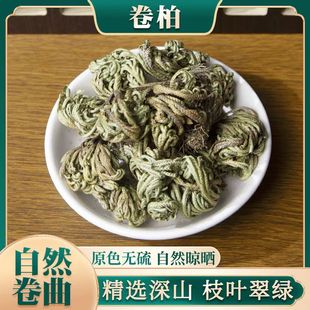 精选野生卷柏中药材九死还魂草无硫小叶石柏长生草还阳草一把爪