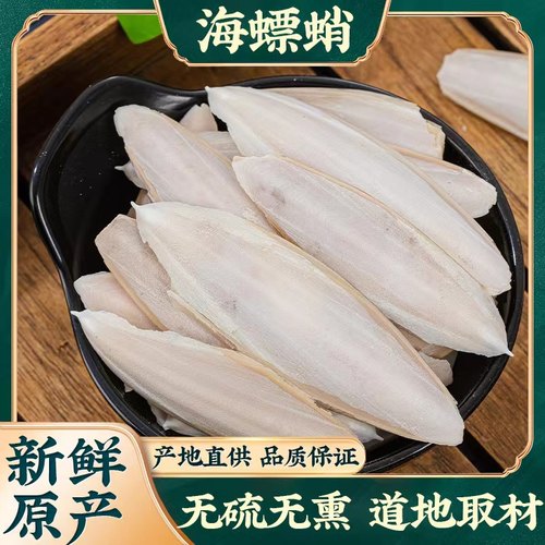 海螵蛸中药材海蛸乌贼骨墨鱼骨