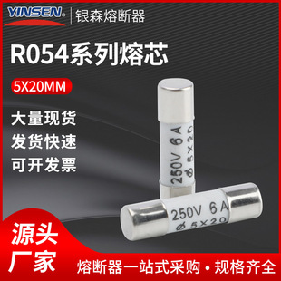 直销熔断器R054保险丝管陶瓷保险管5X20陶瓷保险管