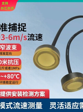 DYW-LS-03A单点多普勒流速仪 2MHz超声波水声换能器 水下测距探头