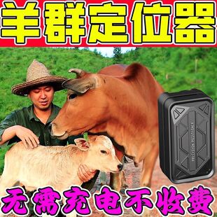 牛羊定位器gps追踪神器放牧专用追跟仪动物卫星放牛用防丢北斗