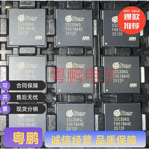 SSC30KQ 封装QFN 32位双核RISC处理器高级图像信号处理器