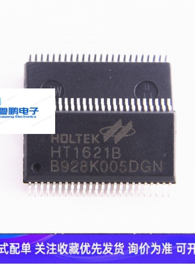 全新原装HT1621B贴片 HT1621芯片 LED显示屏驱动专用SSOP-48