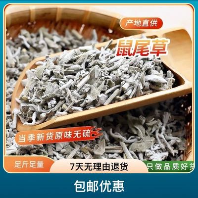 鼠尾草500g包邮 鼠尾草碎干洋苏sage叶碎山艾食用西餐香料调料